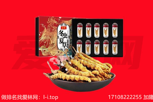 长垣市回收虫草.jpg